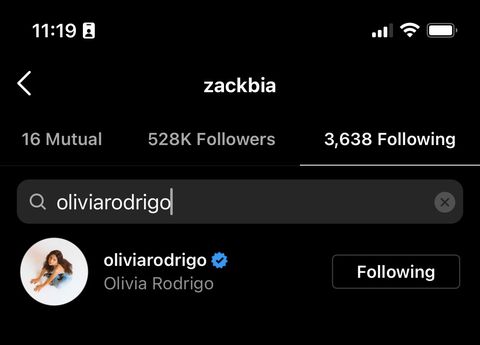 olivia rodrigo and zack bia's instagram activity