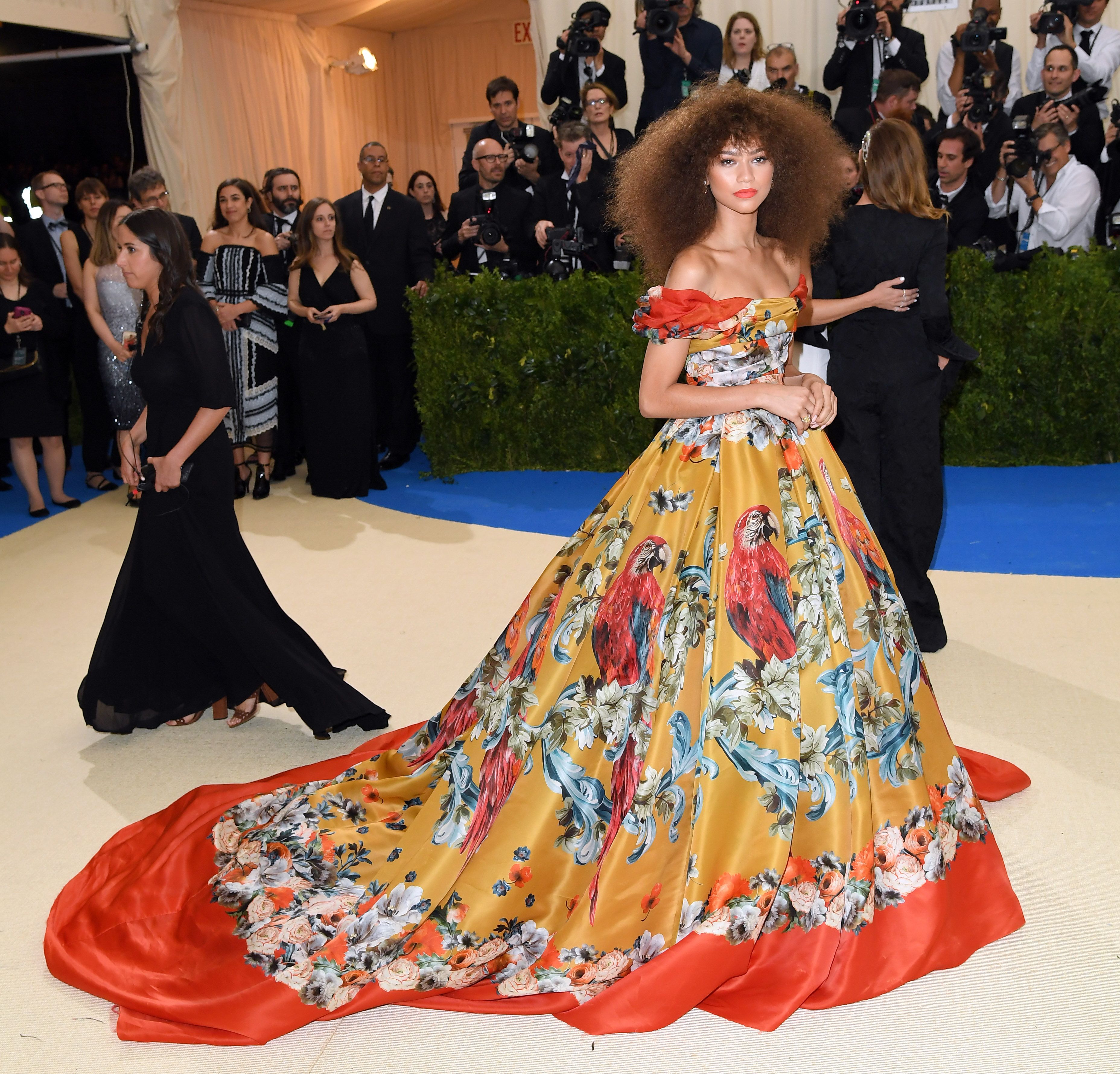 zendaya ball gown