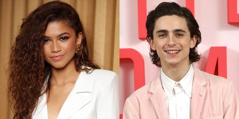 Timothée Chalamet and Zendaya Are Friends - Bed Bath & Beyond Photos