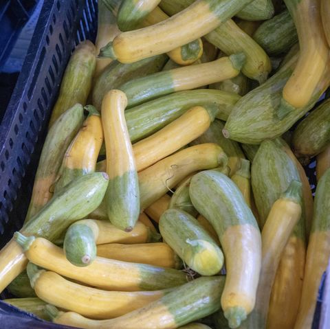 16 Different Types Of Squash Common Types Of Winter And Summer Squash,Puppy Chow Recipe Without Peanut Butter