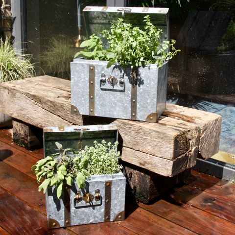 Quirky Outdoor Planters - Best Garden Planters and Outdoor 