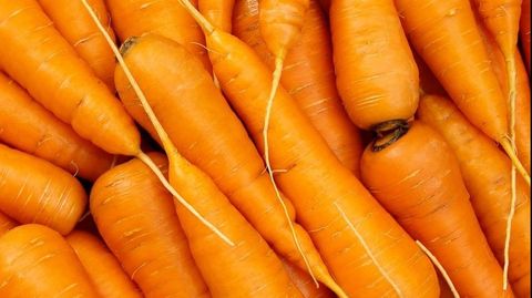 oranje-huis-wortelen