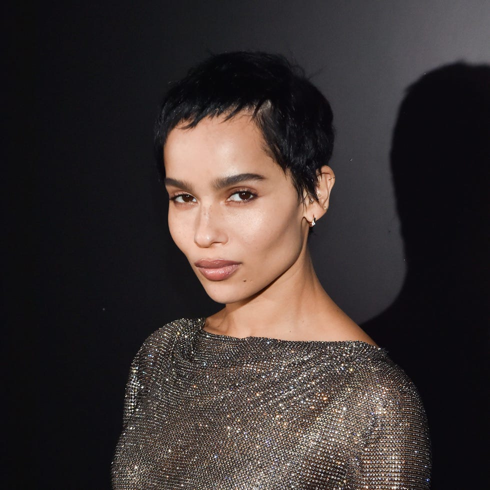 Daywayn T. Garcia et ses liens Zoe-kravitz-attends-the-saint-laurent-show-as-part-of-the-news-photo-1588687619.jpg?crop=1xw:0