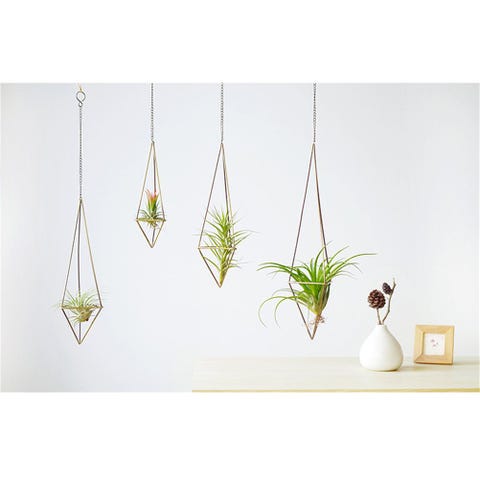 13 Best Indoor Hanging Planters