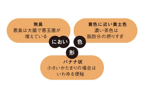 腸内環境の正しい整え方は 更年期のお悩み相談室