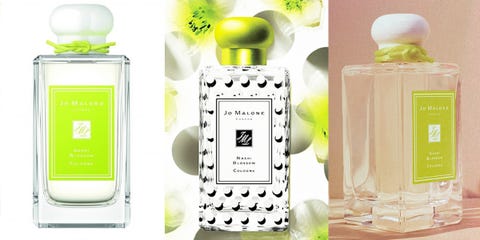 Jo Malone 香水 水梨花蕾商品介紹 使用心得