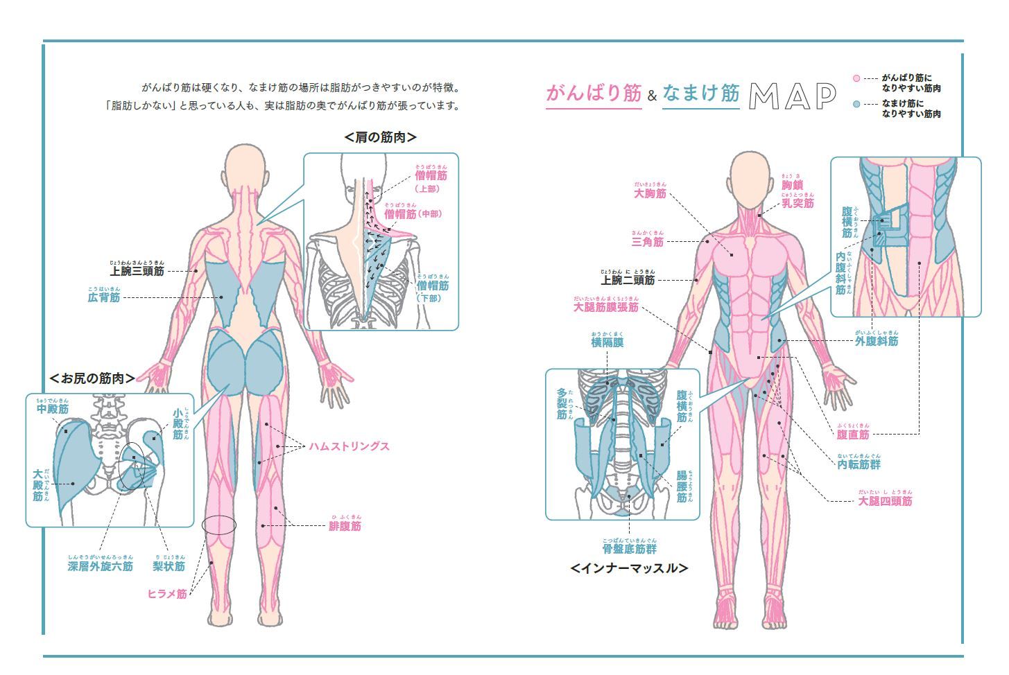 がんばり筋”をほぐして、美ボディを手に入れる！