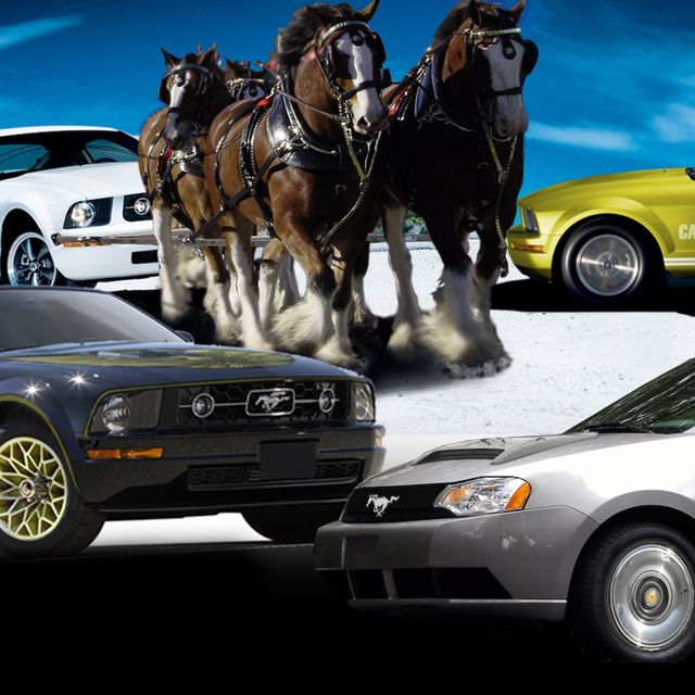 Wheel, Tire, Motor vehicle, Mode of transport, Land vehicle, Automotive design, Vehicle, Transport, Car, Automotive parking light, 