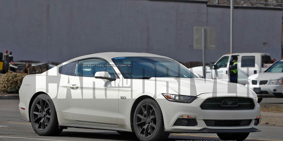 2015 Ford Mustang 50th Anniversary Edition Spy Photos 8211 Future Cars 8211 Car And Driver,Sangria Recipe White Wine Triple Sec