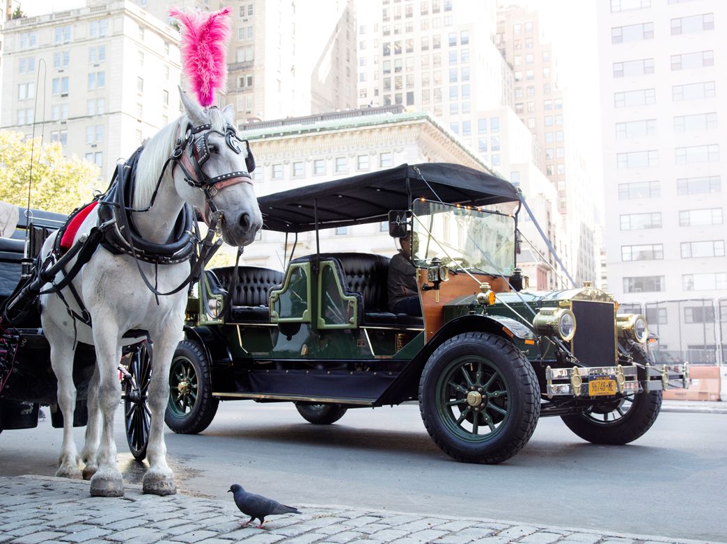 Can an EV Really Replace Central Park's Horse-Drawn Carriages?
