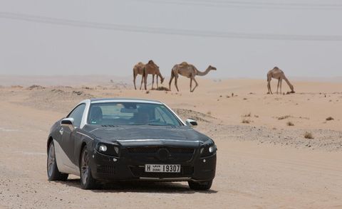 Camel, Mode of transport, Natural environment, Sand, Vehicle, Vertebrate, Land vehicle, Infrastructure, Aeolian landform, Landscape, 