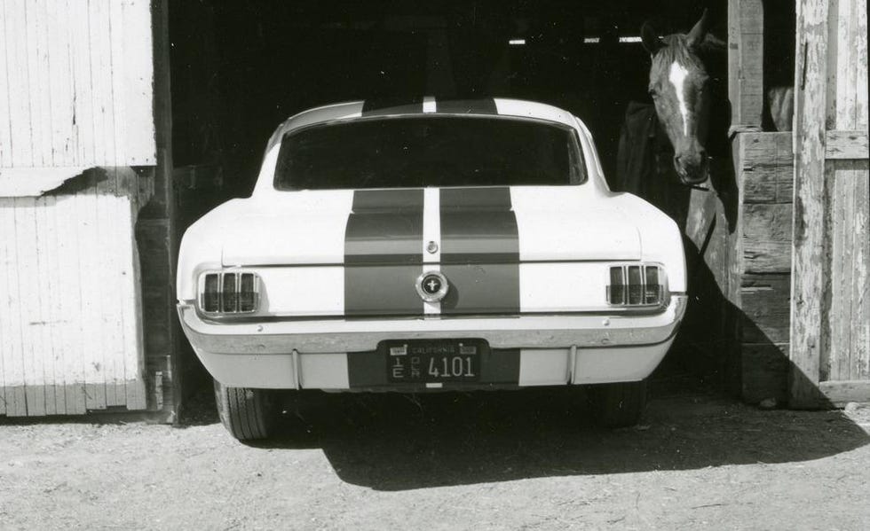 1965 ford mustang shelby gt350