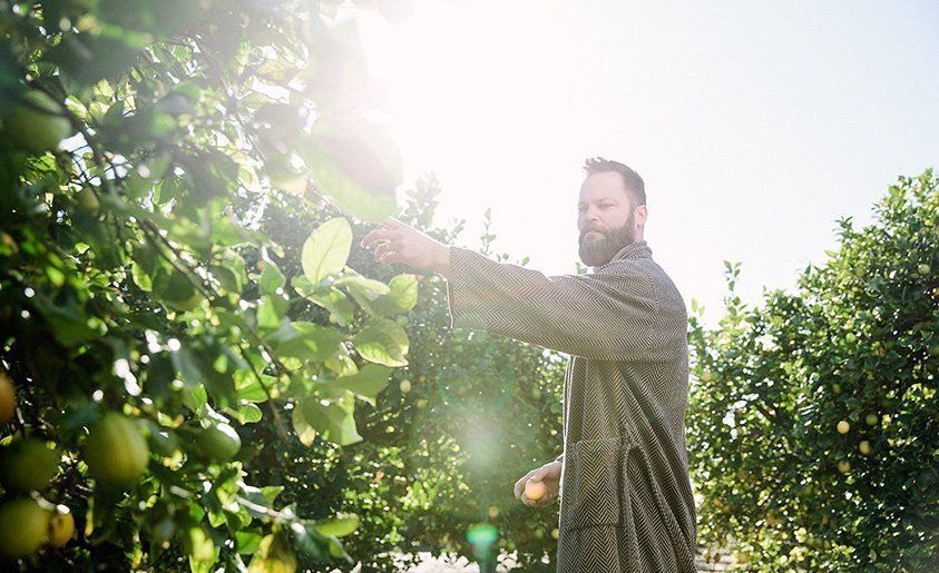 How Olive Garden Keeps Blooming - WSJ