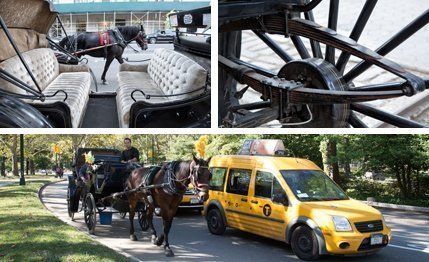 Wheel, Motor vehicle, Mode of transport, Transport, Vehicle, Working animal, Carriage, Automotive parking light, Horse, Horse and buggy, 