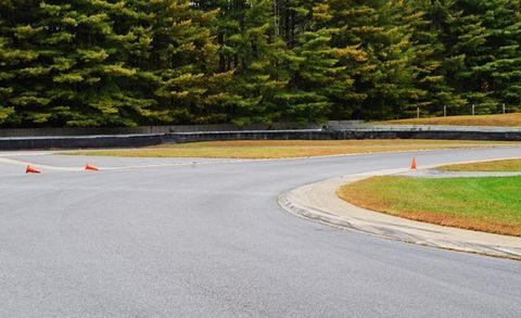 Road, Road surface, Asphalt, Thoroughfare, Tar, Evergreen, Race track, Curb, Coquelicot, Conifer, 
