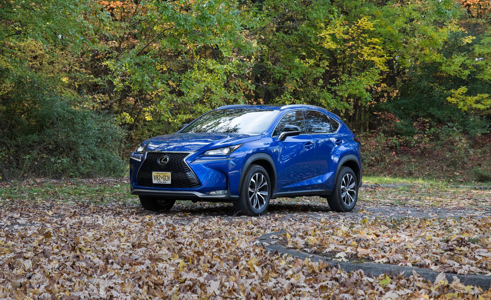 Bumper Kit | LEXUS NX TURBO F SPORT 2017