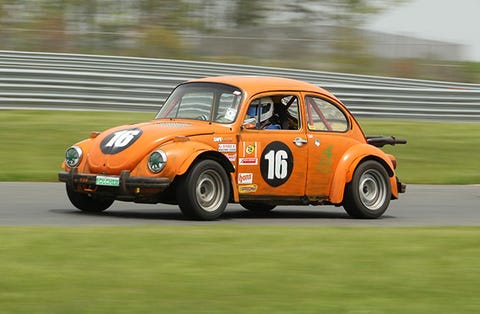 image NJMP 1 - Pinto Beans 1
