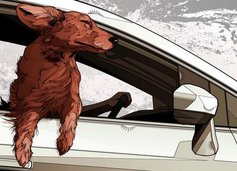 Illustration of dog hanging out of car window