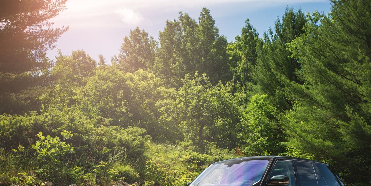 lens verkoopplan Koel 40,000-Mile Test: 2016 Range Rover Td6 Diesel Long-Term Wrap