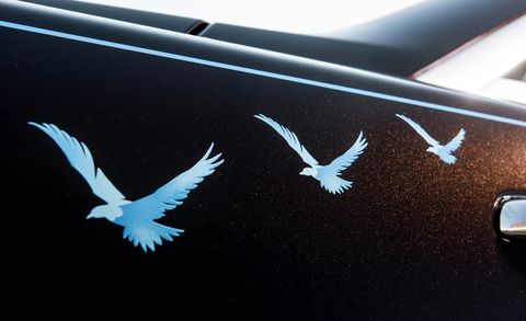 Wing, Bird, Logo, Emblem, Vehicle, Seabird, Graphics, Car, 