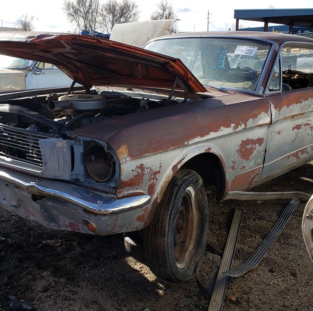 1966 Ford Mustang Coupe Is Junkyard Treasure