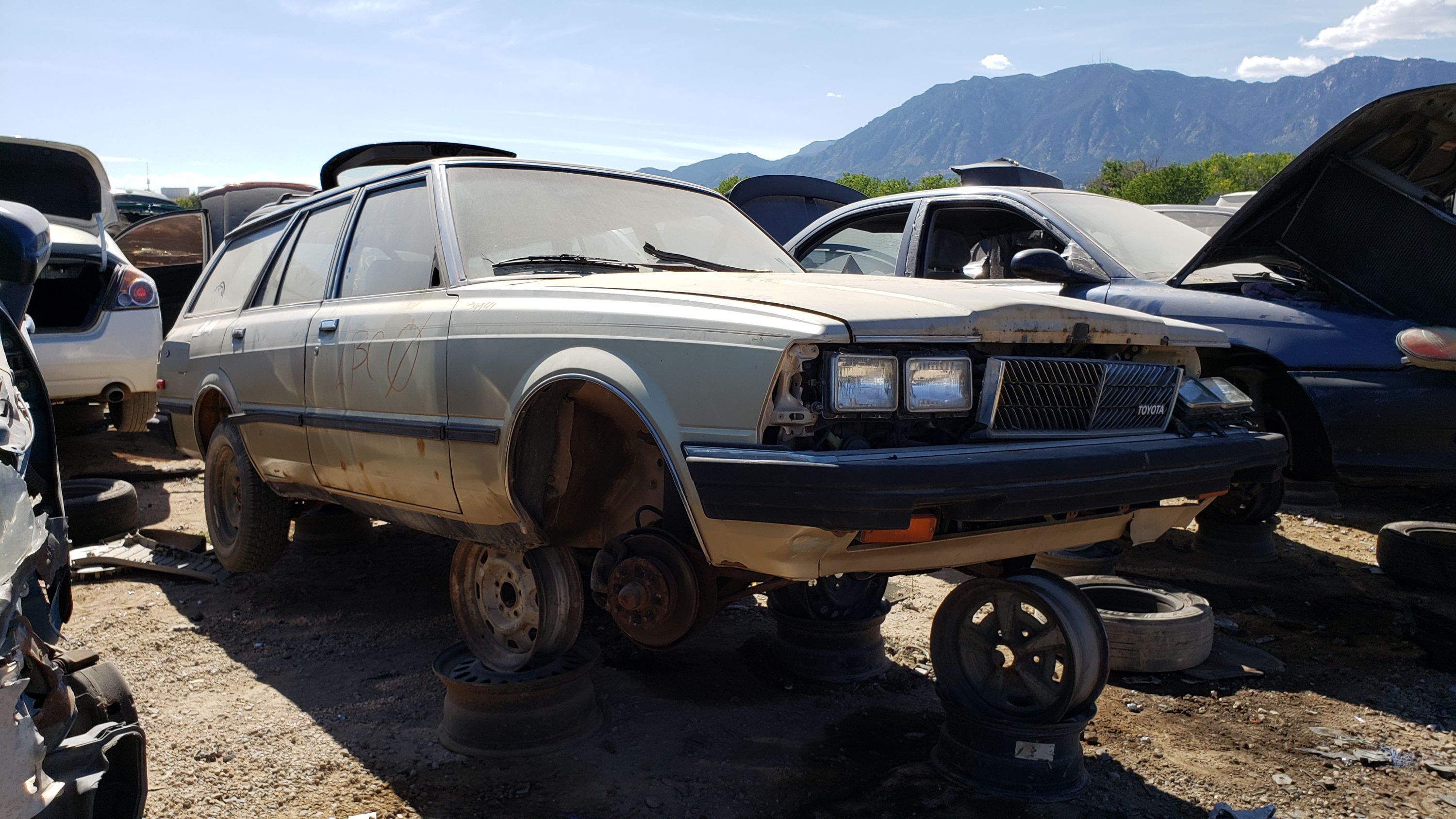 » Blog Archive » The 10 Best Junkyard Finds, Treasures,  and Gems of 2019