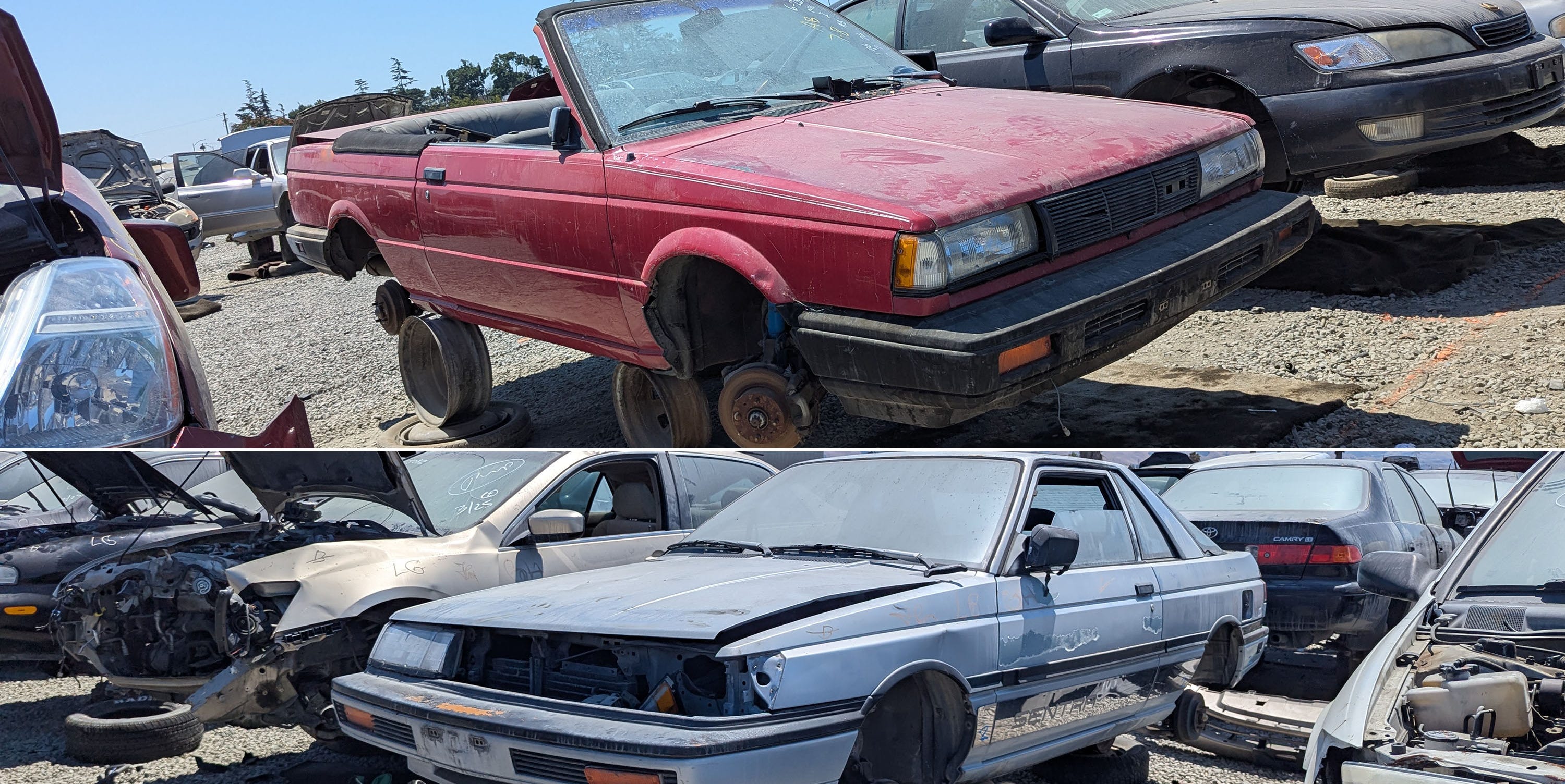 Peak Nissan Sentra Radness Discovered in California Car Graveyards