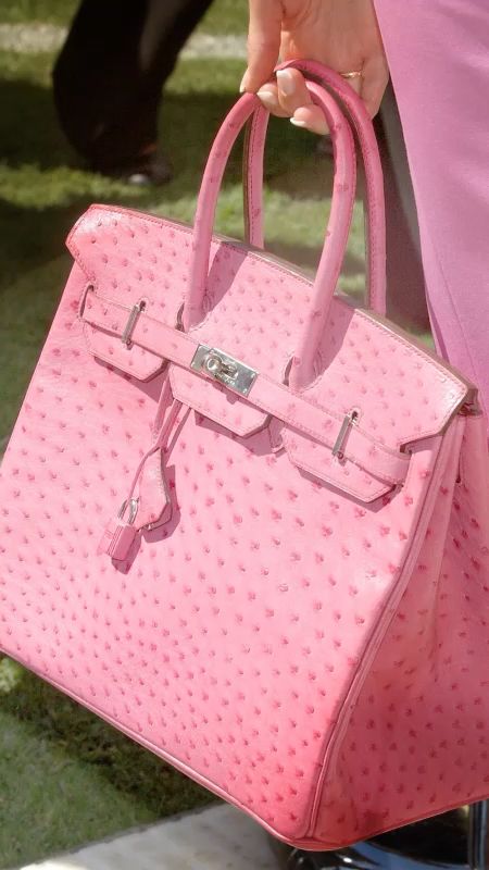 11 Things You Didn T Know About Birkins