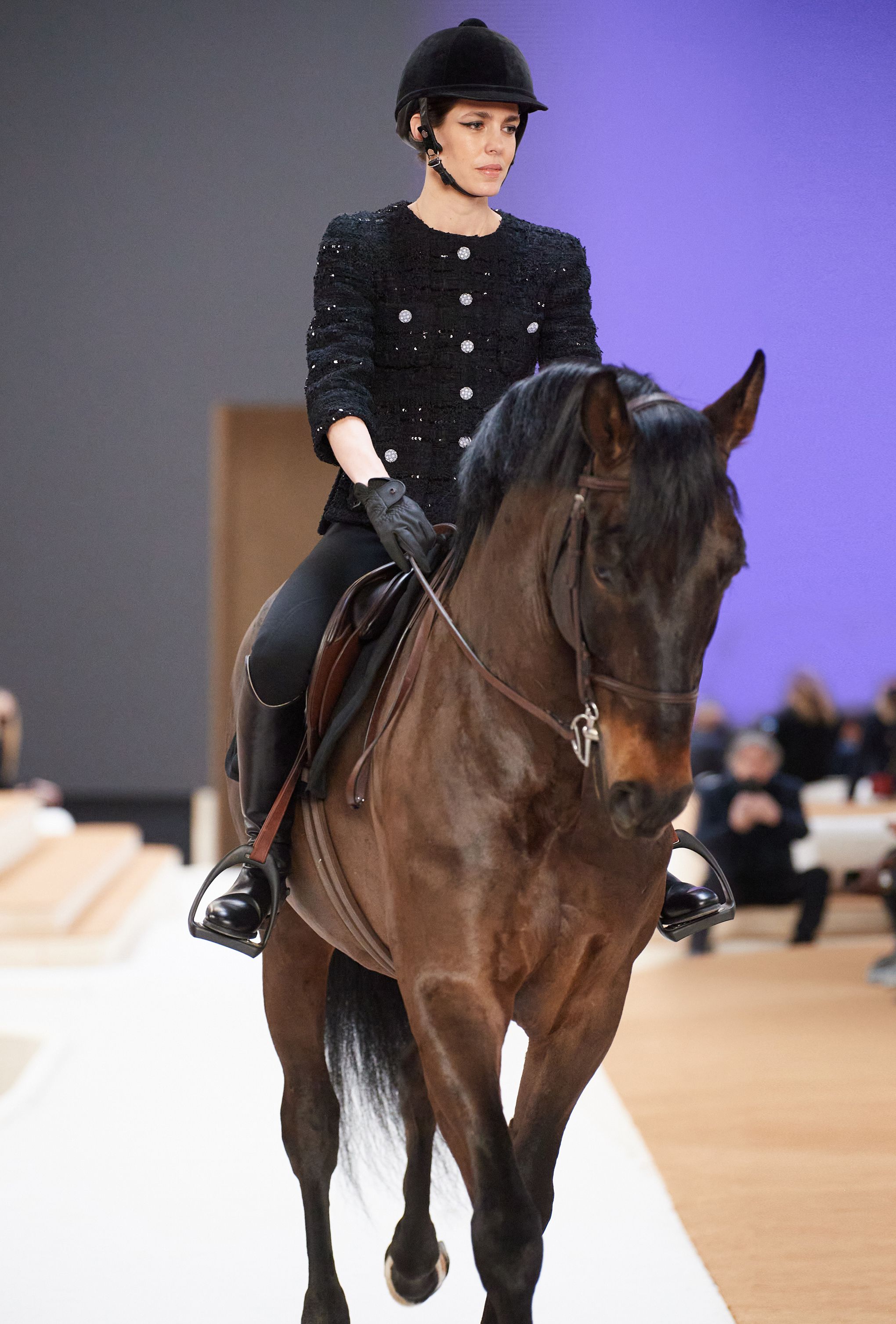 Horse riding's name is Chanel – Want it! Have it!