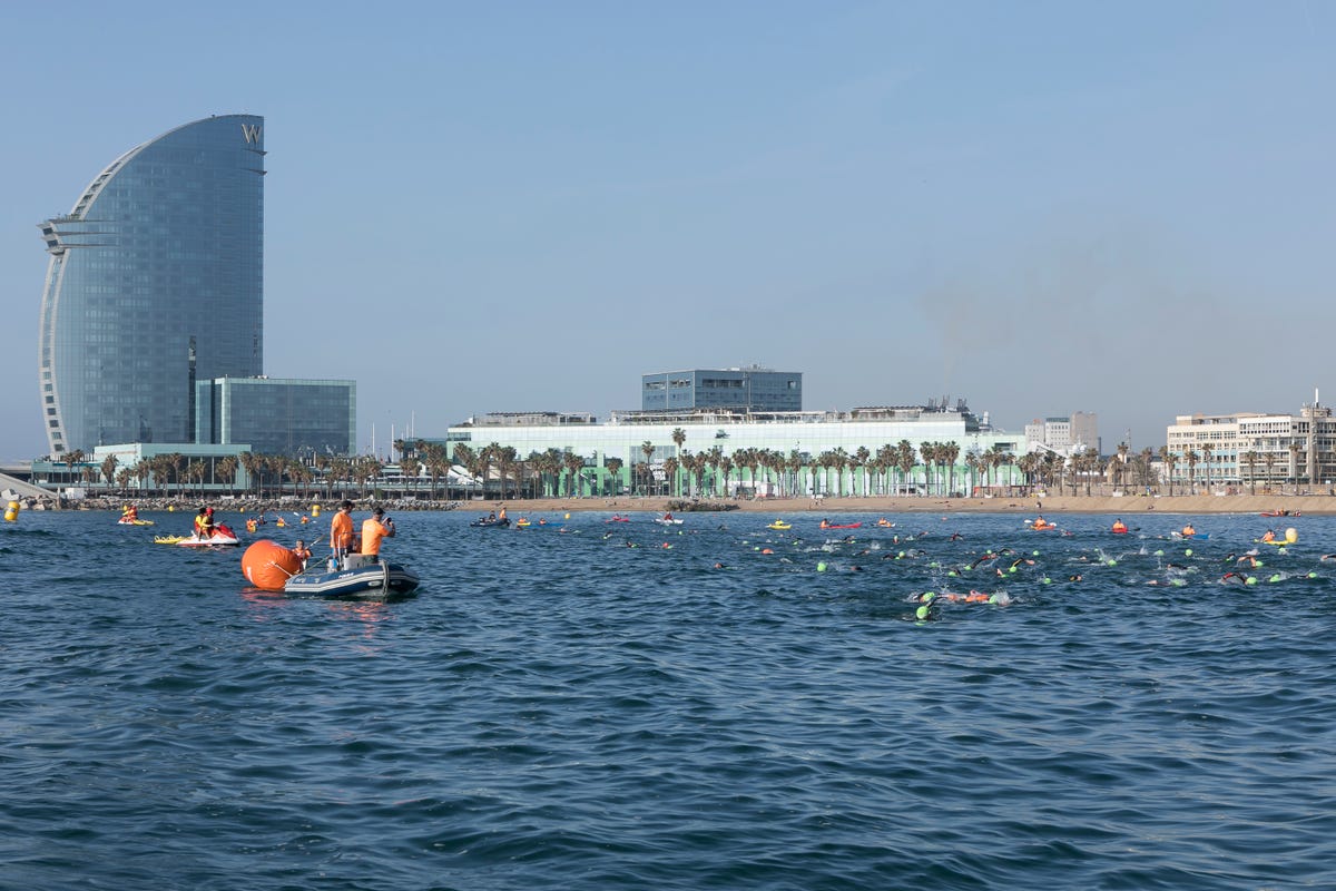 Palas en natación: ¿son todo beneficios? No – Guía Maraton – Calendario de  Carreras de Calle, Aventura y Triatlón