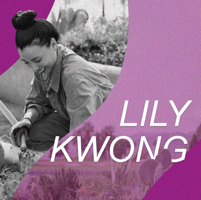 lily kwon