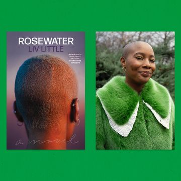 liv little’s debut novel, ‘rosewater,’ is about love of all kinds