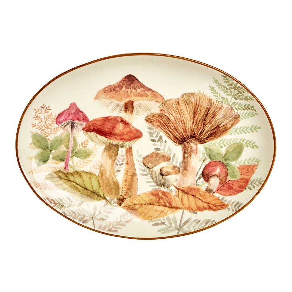 Platter, Plate, Dishware, Tableware, Botany, Leaf, Serving tray, Agaric, 