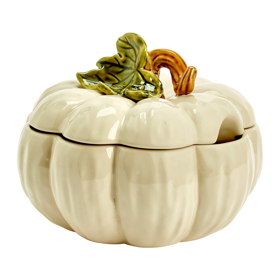 Pumpkin, Cucurbita, Vegetable, Winter squash, Squash, Calabaza, Tableware, Plant, Cookie jar, Food, 