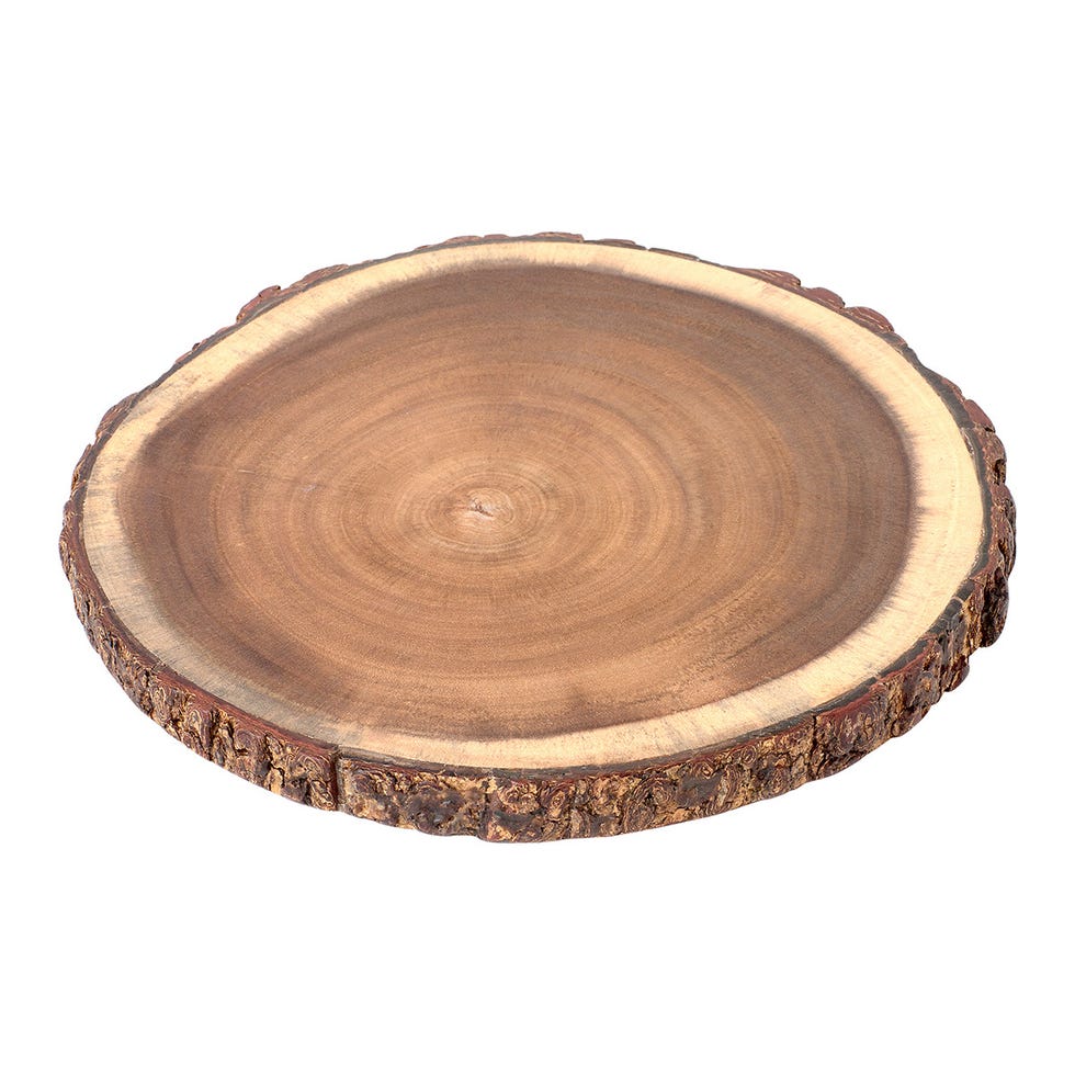 Tree, Wood, Trunk, Woody plant, Tree stump, Platter, Tableware, Serveware, Bowl, Plate, 