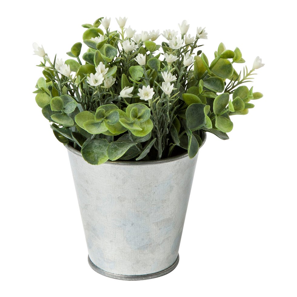 Planta flores blancas El Corte Inglés