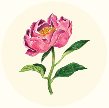 peony