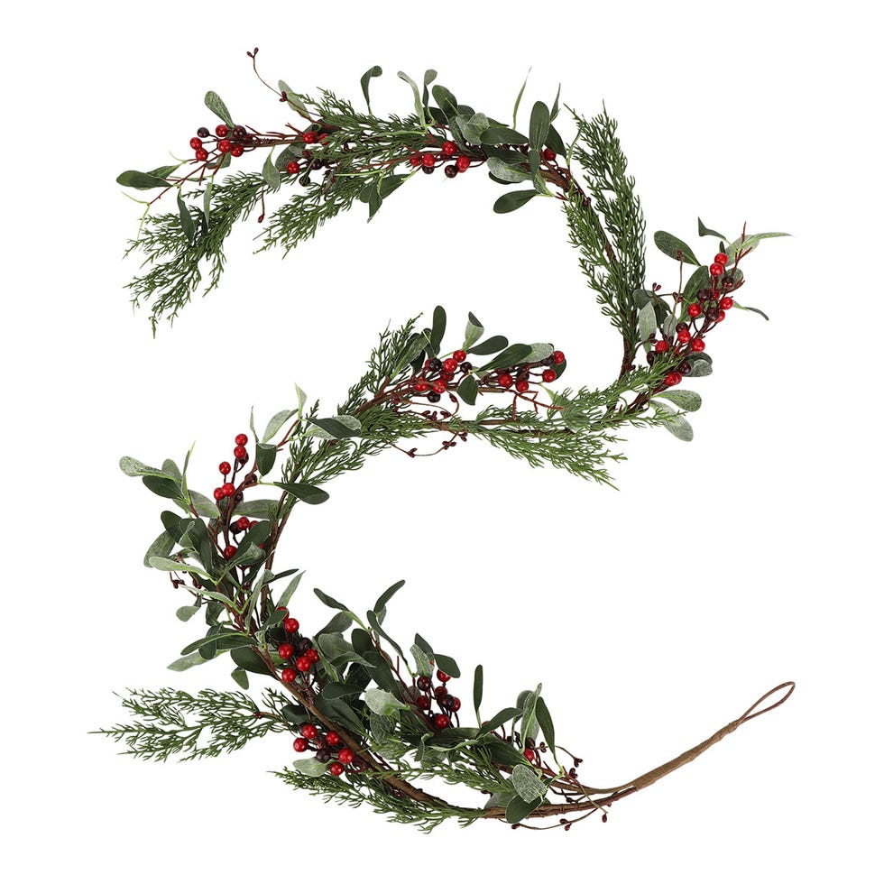 Plant, Flower, Twig, Tree, Red juniper, Holly, Flowering plant, Branch, Christmas decoration, River juniper, 