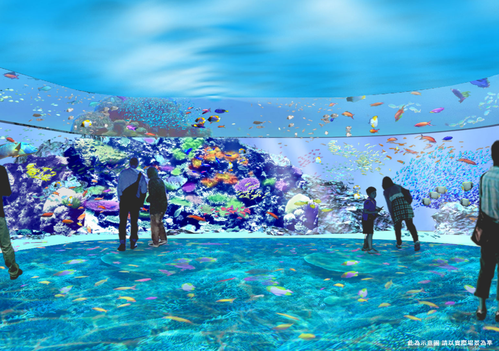 北台灣最大絕美水族館下半年開幕！桃園「x park」5大亮點整理～高科技體驗、4000坪空間、夜宿水族館