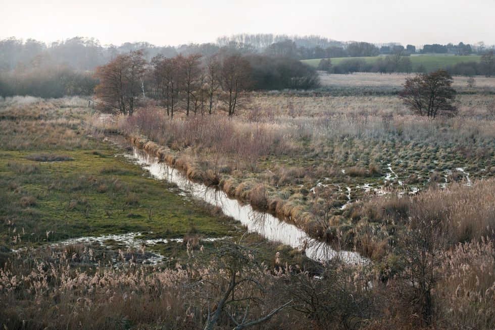 De moerasgebieden van Essex Suffolk en Norfolk zijn rijk aan wilde habitats Veel van deze gebieden zijn drooggelegd ten behoeve van weidegrond maar op deze plek is de waterafvoer gestaakt om ervoor te zorgen dat het moeras weer onderloopt