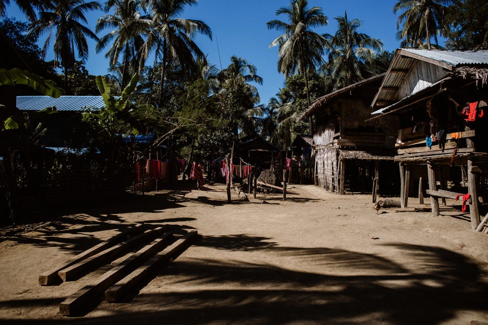 Tree, Sky, House, Palm tree, Vacation, Tourism, Village, Arecales, Tropics, Adaptation, 