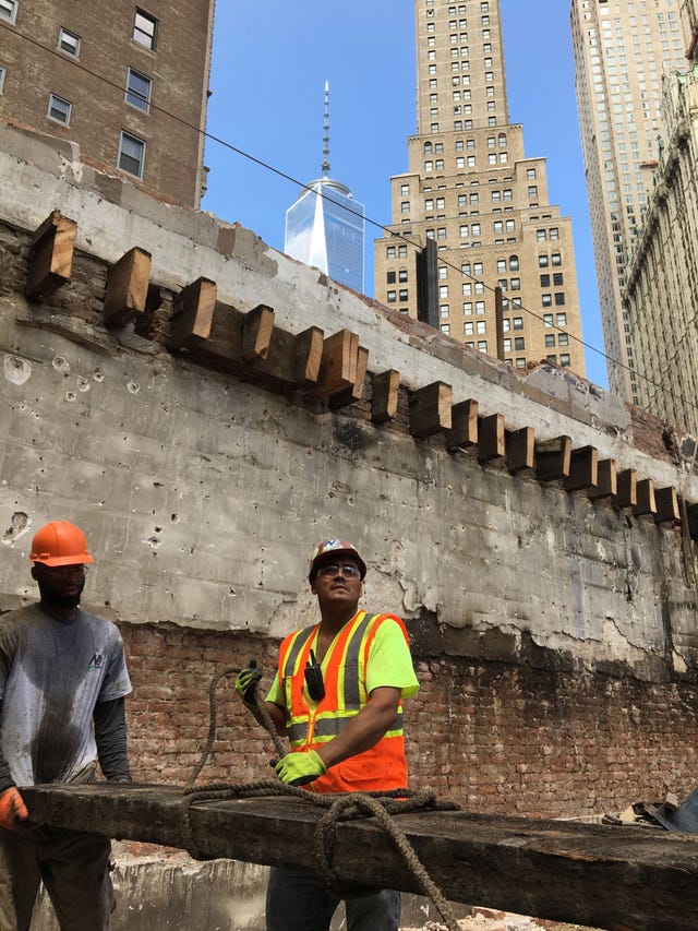 Bouwvakkers halen balken van de moerasden uit een slooppand in New York Dit soort hout bevat klimaatgegevens die honderden jaren ouder zijn dan wat wetenschappers tot nu toe uit boomringen hebben kunnen afleiden