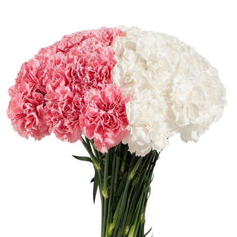 Flower, Cut flowers, Bouquet, Plant, Flowering plant, Carnation, Pink, Petal, Hydrangea, Hydrangeaceae, 