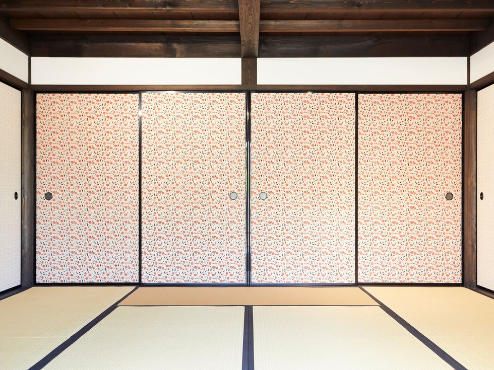 Door, Architecture, Room divider, Wall, Ceiling, Shōji, Room, Daylighting, Home door, Interior design, 