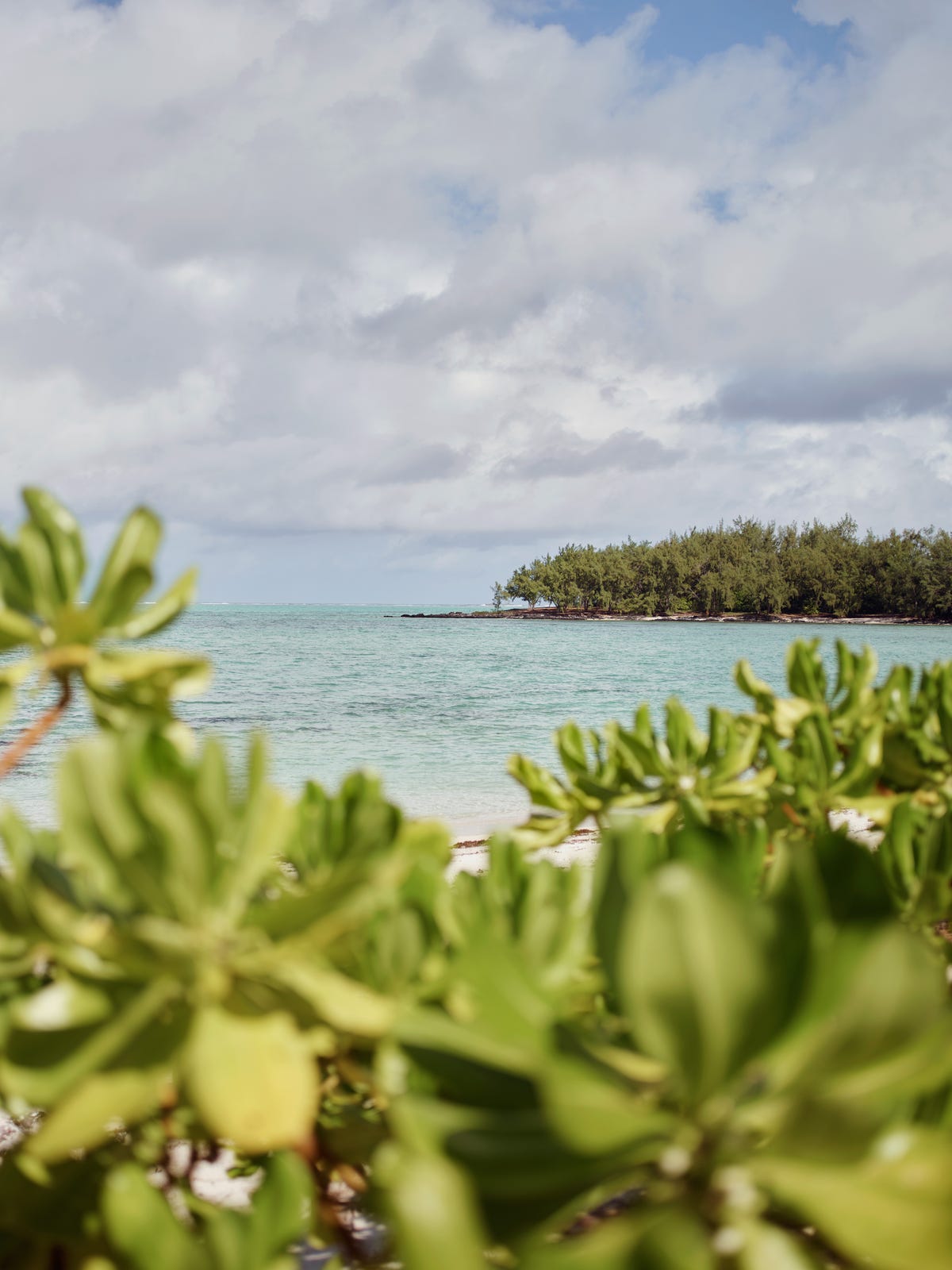 Luna di miele al Mauritius: celebra l'amore in grande stile