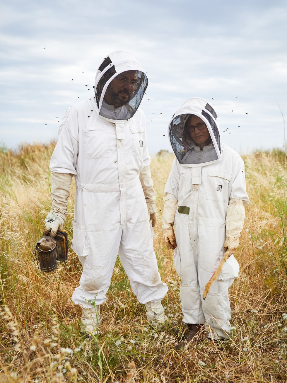 Beekeeper, Astronaut, Outerwear, Grass, Bee, Personal protective equipment, Grassland, Space, Membrane-winged insect, Honeybee, 