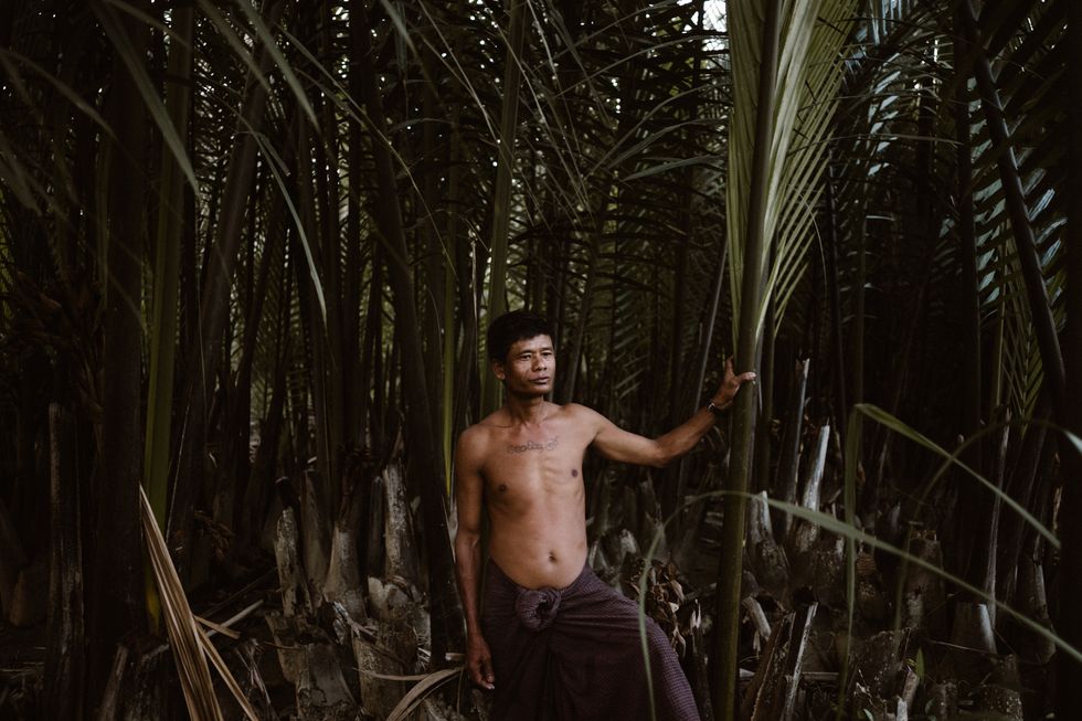 Natural environment, Photography, Tree, Barechested, Plant, Jungle, Forest, Muscle, Flash photography, Darkness, 