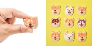 Canidae, Nose, Shiba inu, Animal figure, Ear, Non-Sporting Group, Earrings, Carnivore, Cat, Spitz, 