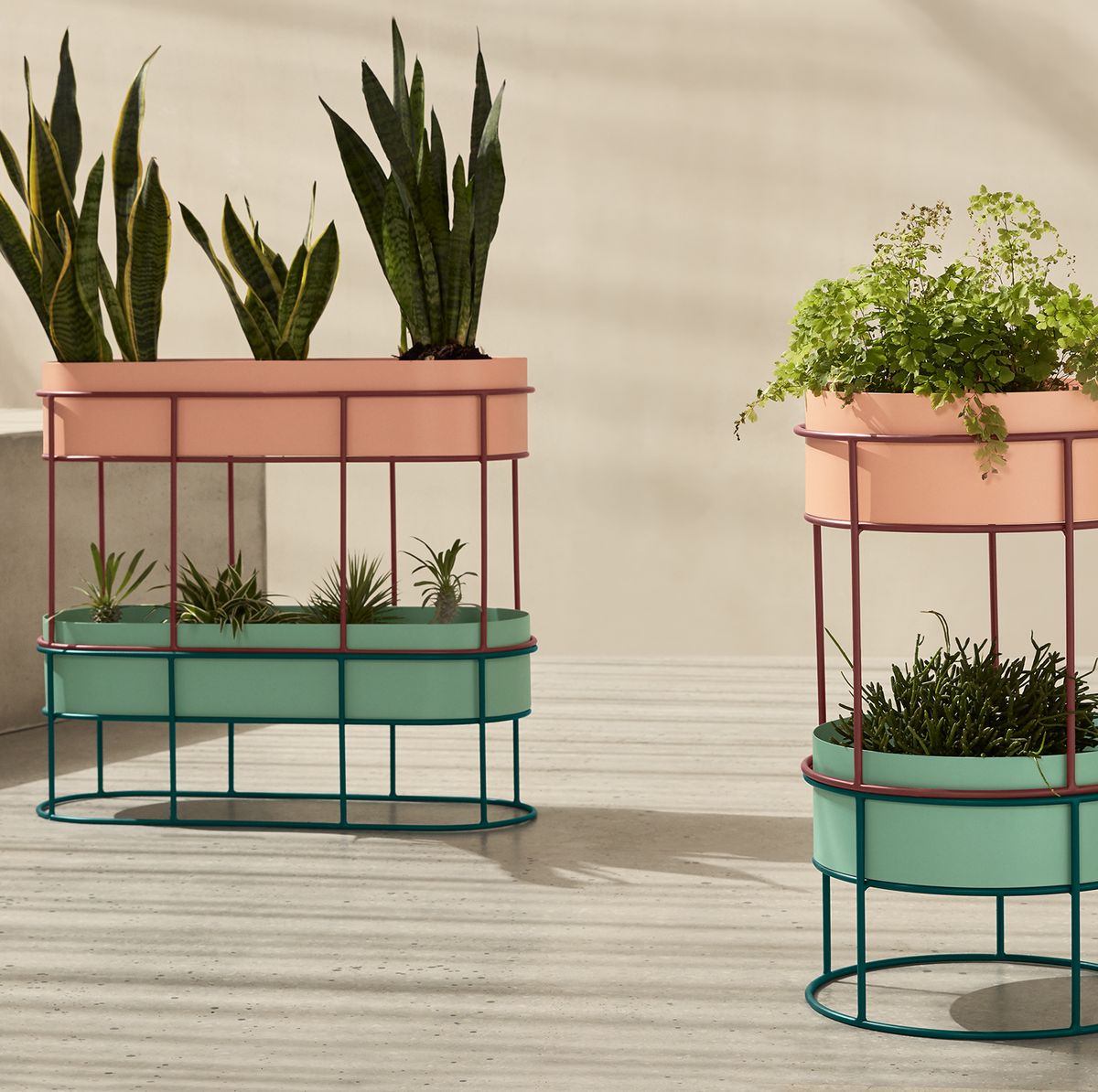 Estos cinco maceteros altos con pedestal añadirán elegancia a tu hogar y se  convertirán en el mejor trono para tus plantas favoritas