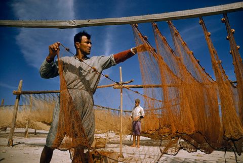 Een visser hangt zijn netten te drogen in de stad Sidon in Libanon Deze foto verscheen in een verhaal uit december 1956 waarin het St Paulus pad van Jeruzalem naar Rome werd gevolgd